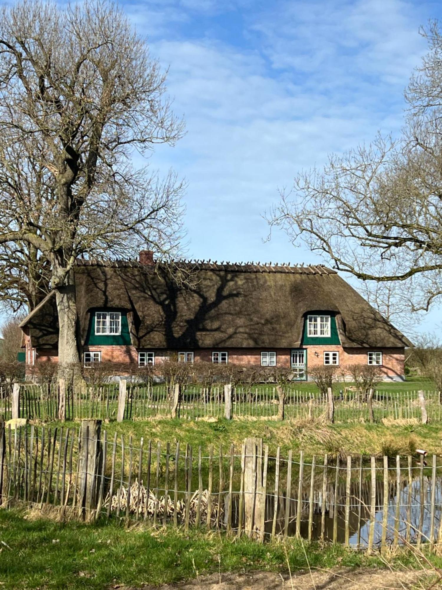 Mittelangeln Hof Osterfeld 아파트 외부 사진